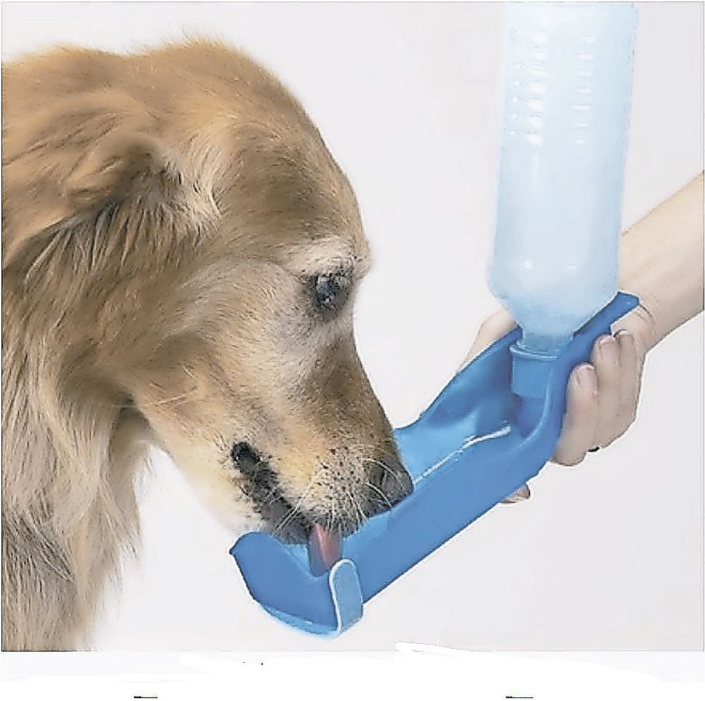 Dispensador de agua perros